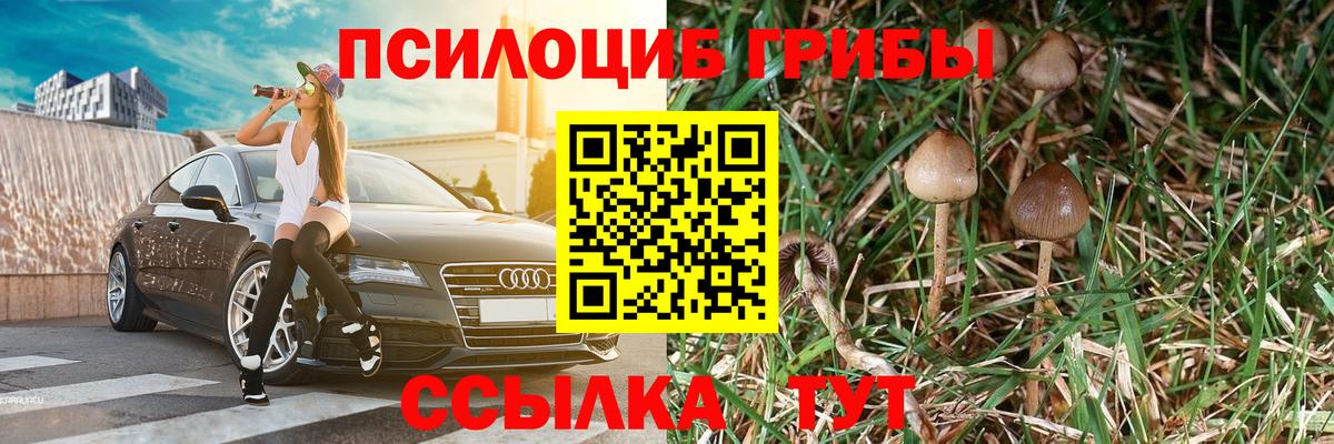 Псилоцибиновые грибы Magic Shrooms Грозный